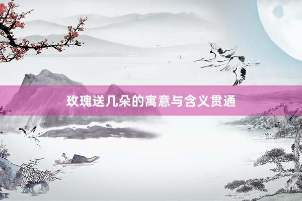 玫瑰送几朵的寓意与含义贯通