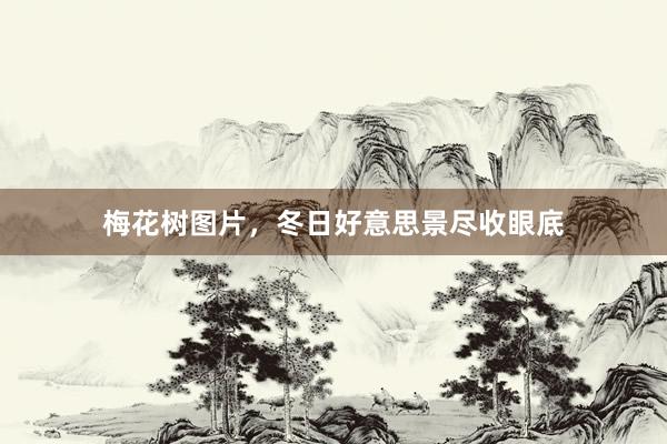 梅花树图片，冬日好意思景尽收眼底