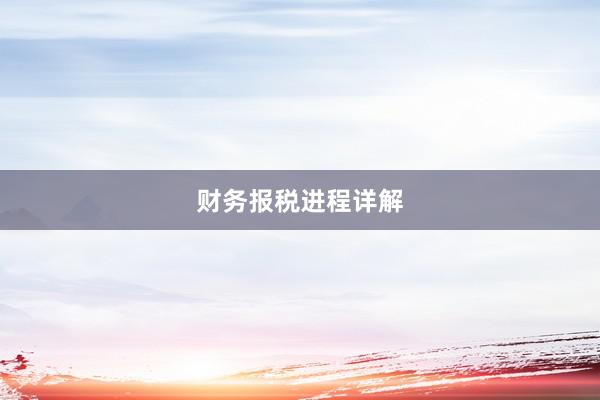 财务报税进程详解