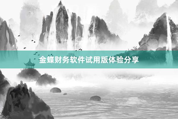 金蝶财务软件试用版体验分享